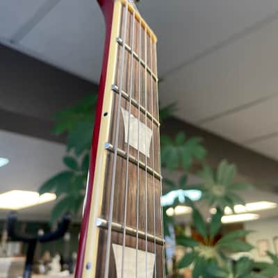 Burny RLG50 1984 - Kasuga Birdseye Cherry Sunburst image 7