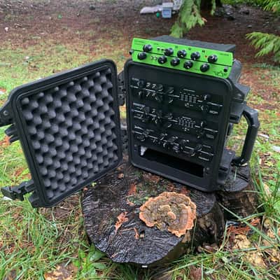 Burns Delta Model 4 Slot Case, Black, Synergy Randall Egnater MTS Preamp Modules image 1