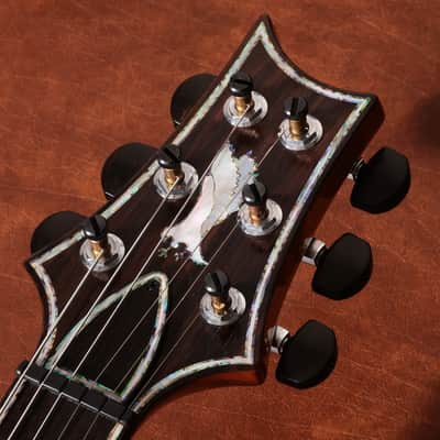 Immagine Paul Reed Smith (PRS) 2008 Private Stock #2042 Custom 22 Glacier Blue [142387] (02/23) - 13