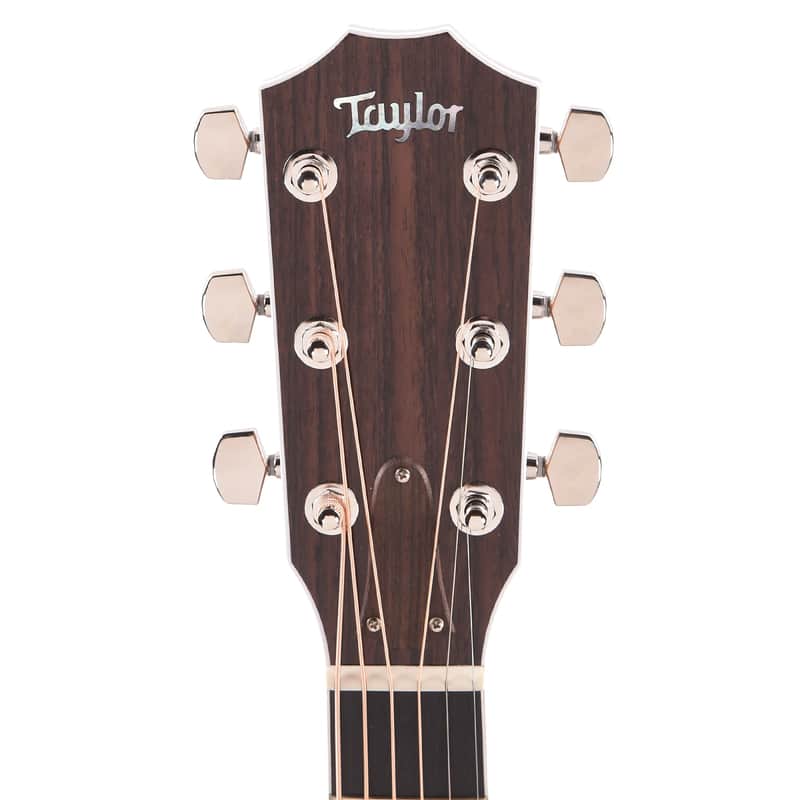 Taylor Legacy 810e image 6