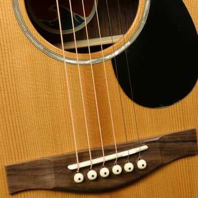 Eastman PCH2-OM image 10
