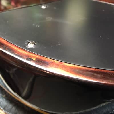 DeArmond M77-T Solar Bronze with gigbag image 16