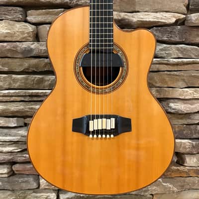 Linda Manzer Sitar Acoustic 1997 w/ Hardshell Case image 2