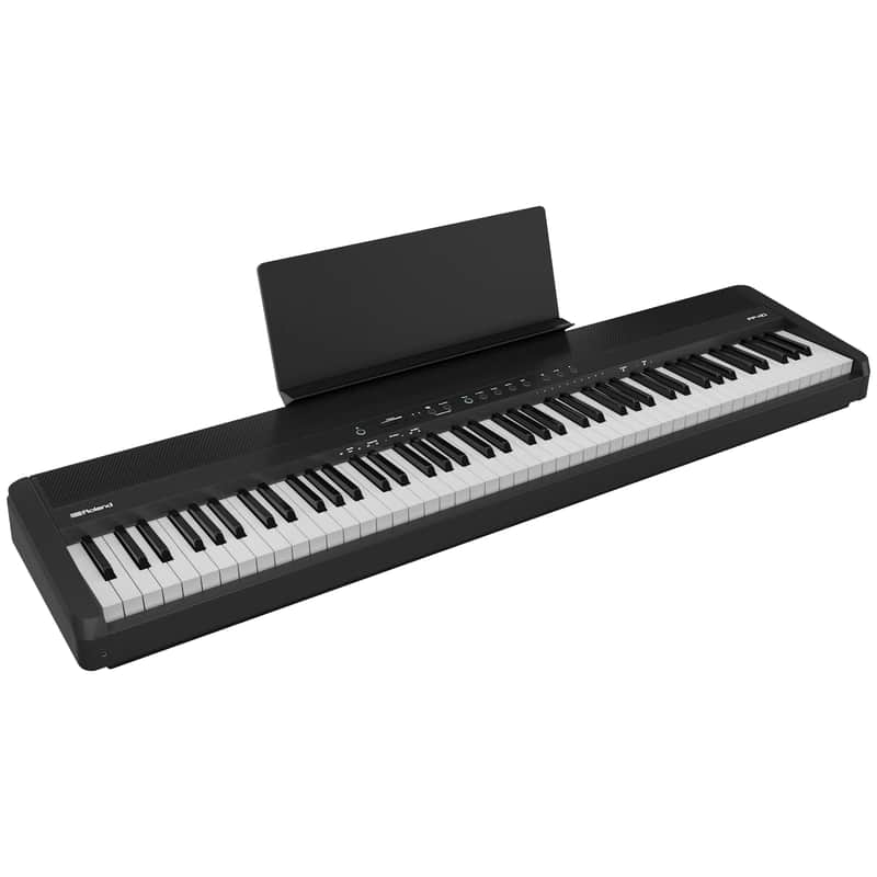 FP-40 Noir Roland image 1
