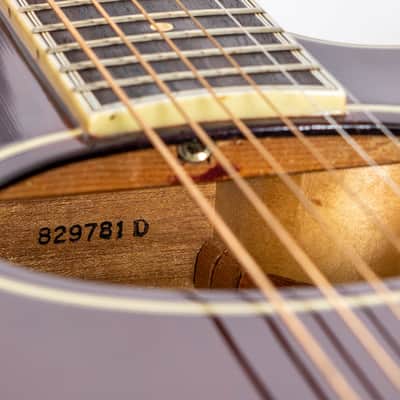 Daion The Year Series '81 Caribou - Wine Red (WR) - Electric Acoustic Six String image 22