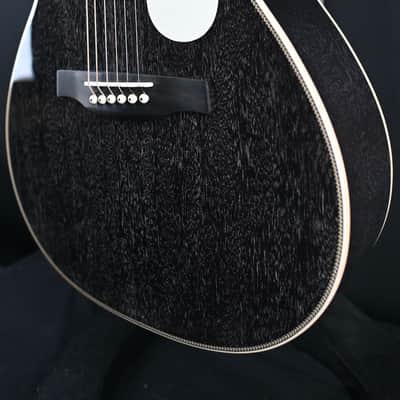 PRS SE P20E Parlor Acoustic Guitar Dog Hair #517 image 8