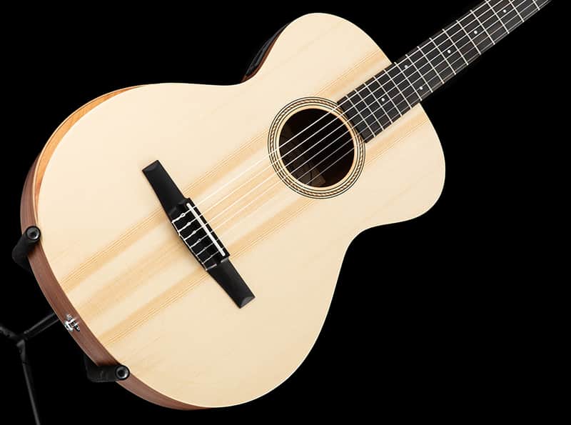 Taylor Academy 12e-N Nylon image 1