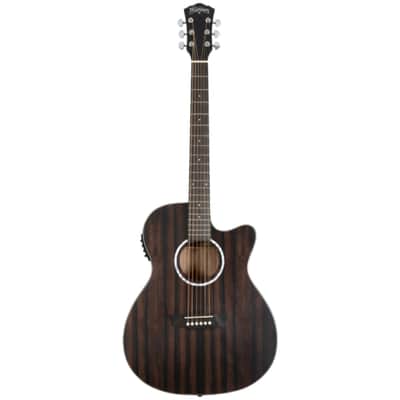 Washburn Deep Forest EBONY D Dreadnought Acoustic Guitar - Natural Matte image 2