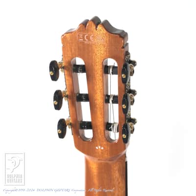 CORDOBA STAGE GUITAR (TRADITIONAL CD) image 8