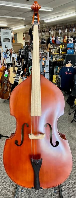 Palatino VB-004 Crack-Resistant Upright Bass with Padded Bag, 3/4 Size image 1