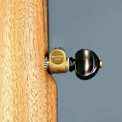 Ode Fretless Walnut Magician Nylon 5-String Openback Banjo 12" image 14