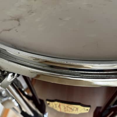 Premier Signia 16x16" Floortom -red Cherry Wood - 1990s image 5