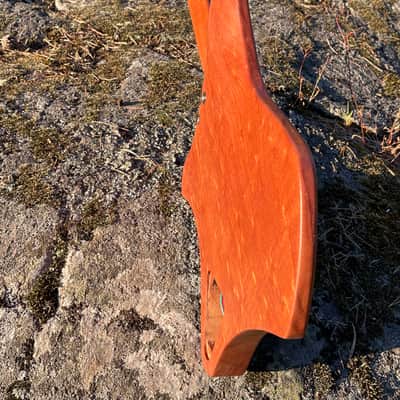 Polar Guitars Multiscale Handmade in Sweden image 7