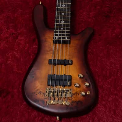 【new】Warwick / Teambuilt ProSeries Streamer LX5 Limited 2025 3.670kg #M013837-25【GIB Yokohama】【price included SHIPPING & IMPORT TAX & VAT】 image 6