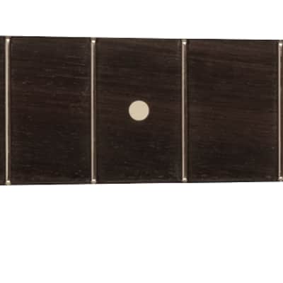 Fender American Professional II Stratocaster Neck 22 Narrow Tall Frets 9.5" Radius Rosewood image 1