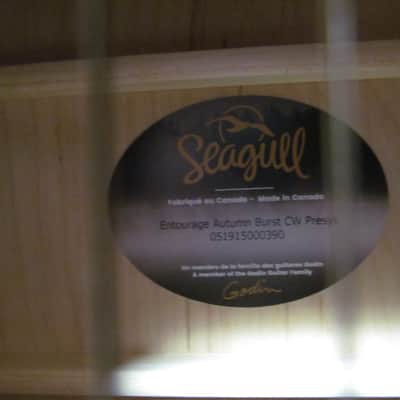 Seagull Guitars Entourage CW Acoustic-Electric Guitar with Presys  - Autumn Burst *FREE SHIPPING!!! image 2
