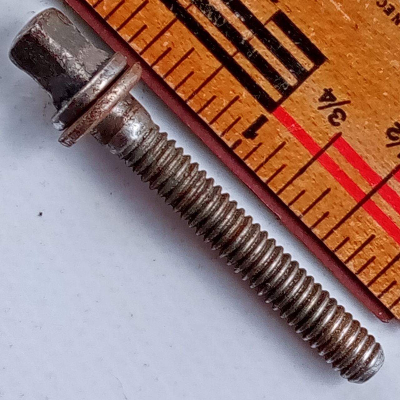 Rogers 1+1.5"T-Rod Snare/Tom Drum 12-24 Tension-Lug-Screw Holiday Cleveland60s*G — main photograph