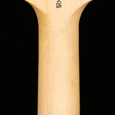 PRS SE Sandblasted CE 24 LTD Sandblasted Green (432) image 6