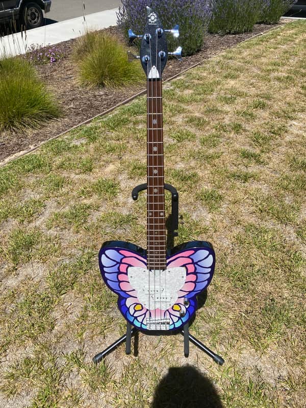 Daisy Rock butterfly butterfly on black | Reverb