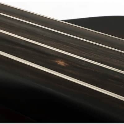 BSX Bass Allegro 4-String Acoustic-Electric Upright Bass - Nutmeg image 4