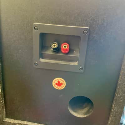 Tannoy PBM-8 Pro Studio Monitors (Pair) w/ Speaker Repair Kit image 4