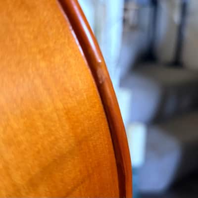 Hidersine cello Vivente 4/4 finetune 2000 - Semi gloss image 6