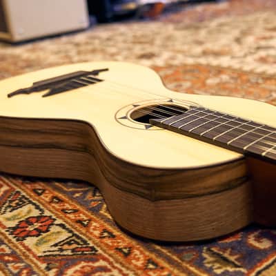 Artimúsica Traditional Luthier 10 String "Viola de Arame" Madeira image 11
