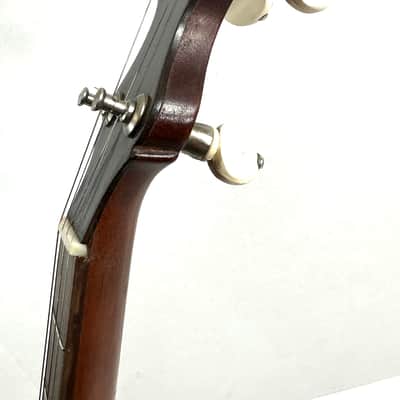Vega vintage tenor cello banjo 4 strings with painted head New York made Style N “the Tabby” 1924 - Wood and half skin image 5
