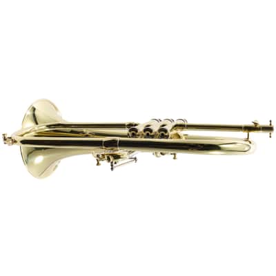 S.E. Shires Model Q19 Q-Series Professional Flugelhorn BRAND NEW image 15