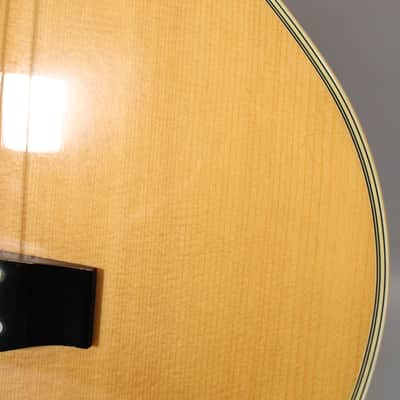Washburn Vantage VB30CE Acoustic-Electric Cutaway Bass Natural w/OHSC image 21