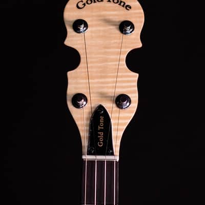 Gold Tone CC-100R 5-String Banjo, Includes Bag image 9