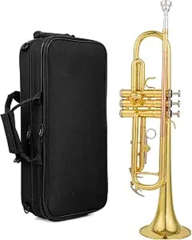bb trumpet brass b flat trumpet for beginners and intermediate players copper leadpipe gold lacquer finish stainless steel valves phosphorus hard case and accessories included image 1