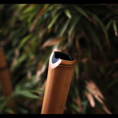Concert-Grade 8-Hole Tang Xiao Flute - Blowing Shakuhachi - 2 Piece – Lacquered, Healing Tones in D/C/B Keys (Lowest Note) for Meditation & Music, Yellow Bamboo image 11