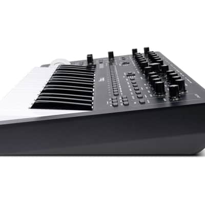 Moog Messenger Monophonic Analog Keyboard Synthesizer [DEMO] image 7