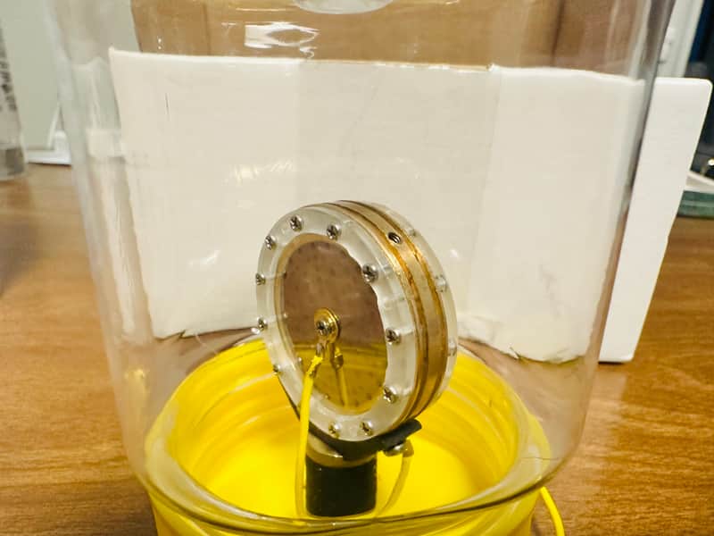 BeesNeez Microphones K7 capsule image 1