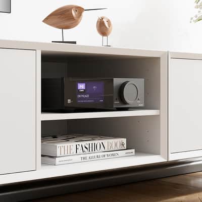 LYNGDORF TDAI-2100 Stereo Streaming & Integrated Digital Amp (BASIC - optional modules NOT included) - NEW! image 10