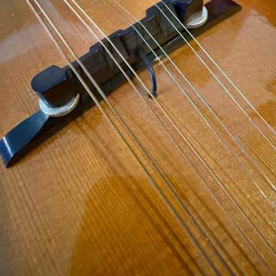 Vintage Harmony Batwing Mandolin Bild 9
