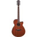 Ibanez AEG220 AEG Series Single-Cutaway Acoustic Electric Guitar, Natural Low Gloss