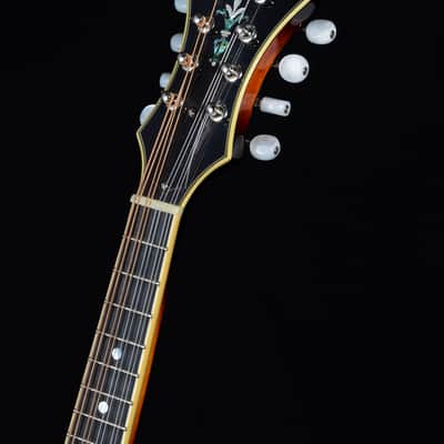 The Loar LM-500 Contemporary F-Style Mandolin 2016 - Vintage Sunburst image 5