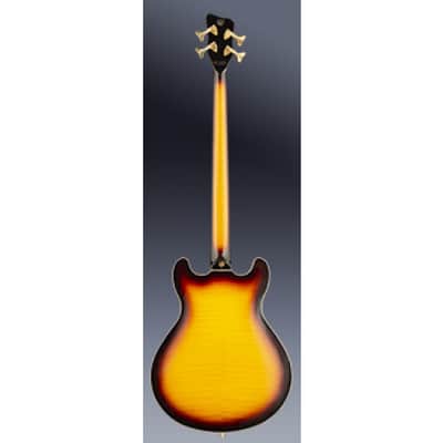 Warwick Teambuilt Pro Series Star Bass, 4-String - Vintage Sunburst Transparent High Polish, Lefthand image 10