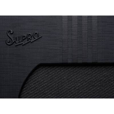 Supro 1822RBB Delta King 12 15-Watt 1x12” Combo w/Reverb Black/Black - Open Box image 4