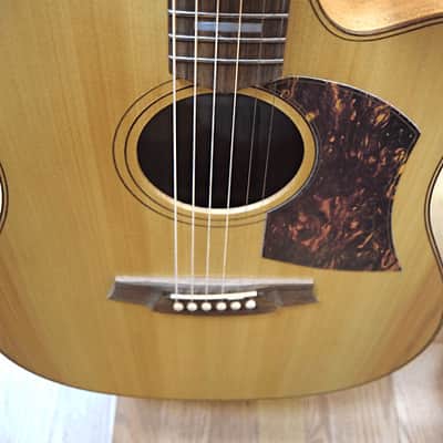 Cole Clark FL2AC Bunya / Queensland Maple NEW w/case image 5