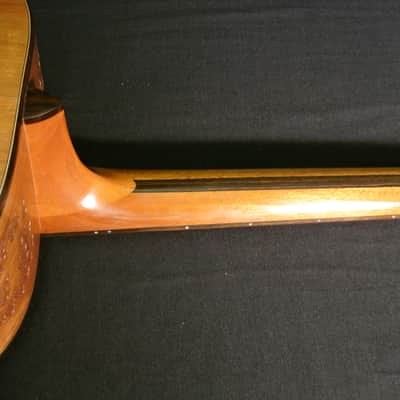 Blueberry Handmade Dreadnought Acoustic Guitar Lobster Motif - Built to Order image 12