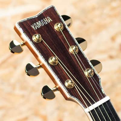 YAMAHA LS56 Custom ARE image 8
