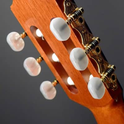 Steven Walter Guitars Concert image 3