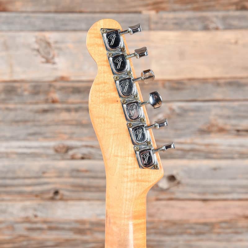 Fender Telecaster Thinline Mahogany with Bigsby (1968 - 1972) image 7