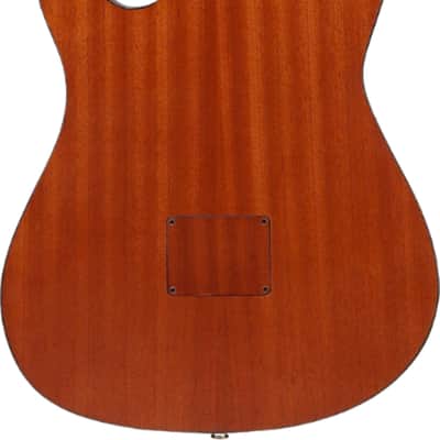 Ibanez FRH10N Thinline Acoustic-Electric Classical Guitar, Solid Spruce Top, Rose Gold Metallic image 3