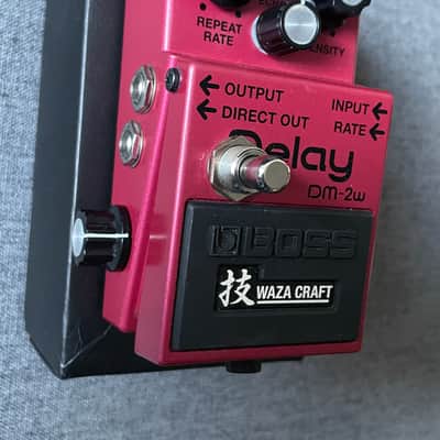 Boss DM-2W Delay Waza Craft (modified) image 3