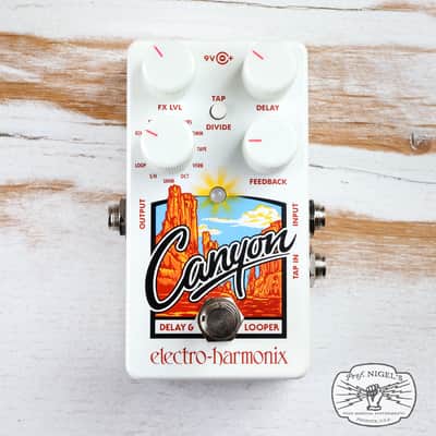 Open Box - Electro-Harmonix Canyon Delay & Looper Pedal Bild 2