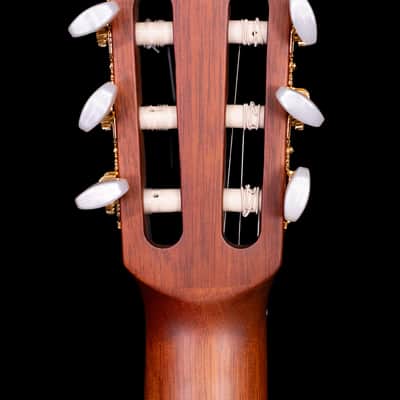 Yamaha CG182C Classical Acoustic Guitar image 10